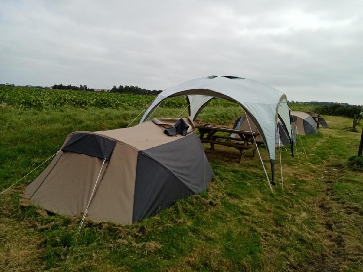 Hotel Basic 2P Tent Sotterum Kornwerd Exterior foto